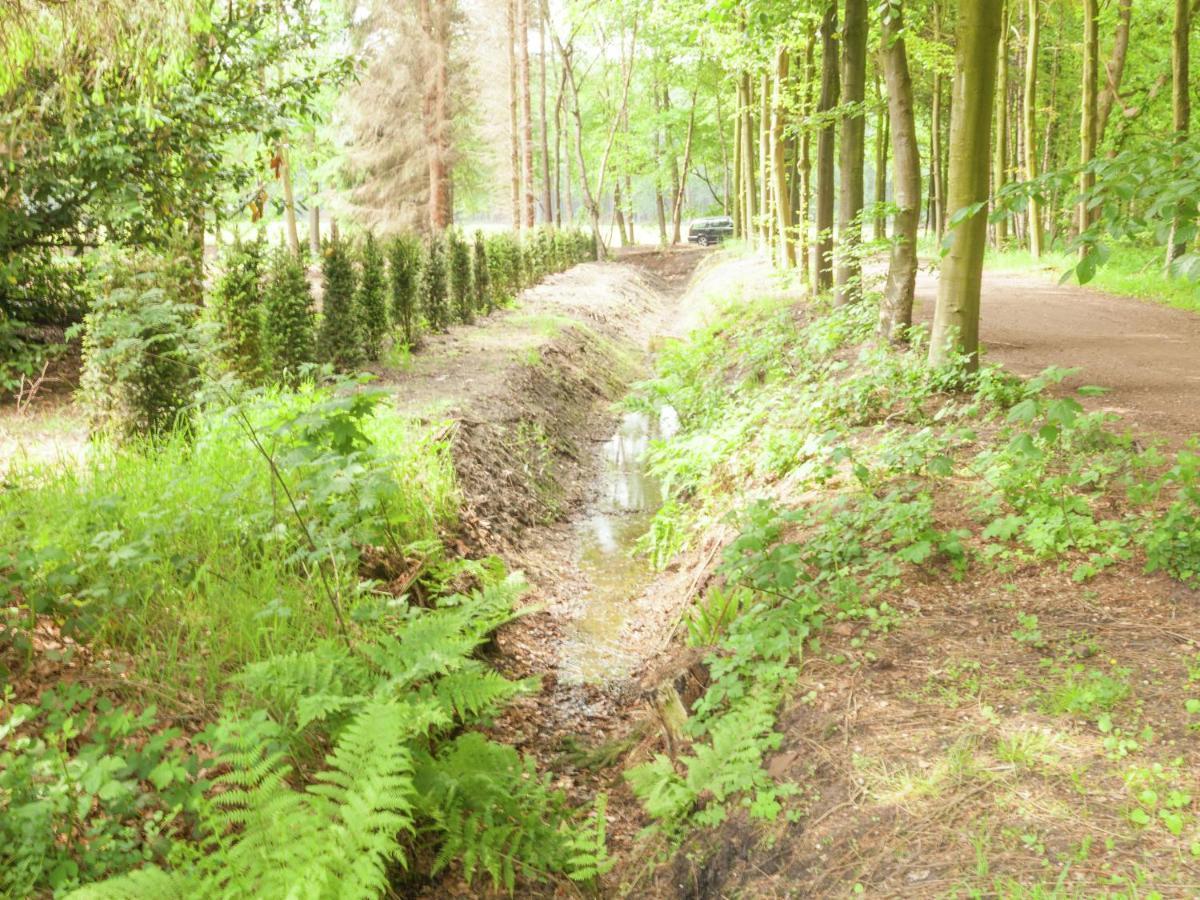 Cozy Holiday Home Near Forest In Baarn Exteriör bild
